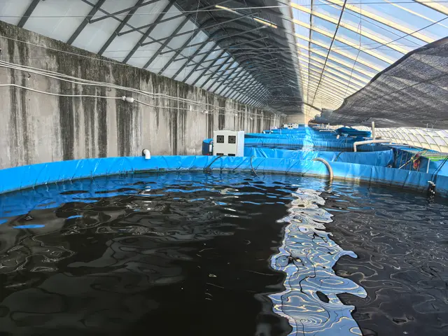 天津大学纳米农业实验站·天津--水产养殖基地