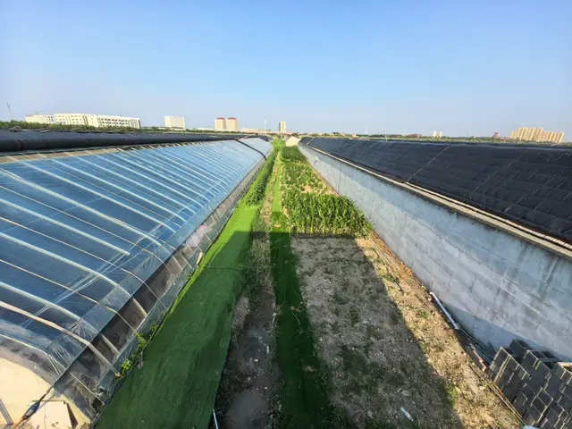 天津大学纳米农业实验站·天津--水产养殖基地