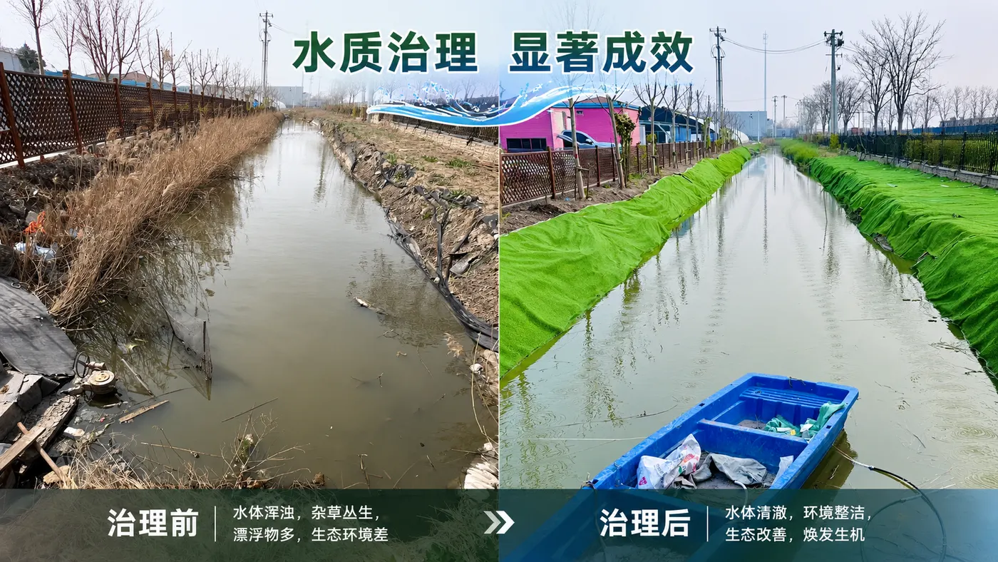 黑臭水体治理与水生态稳定提升