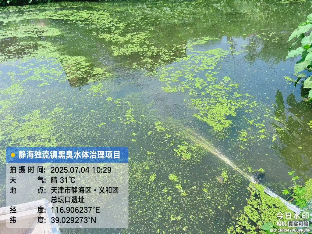 黑臭水体治理与水生态稳定提升