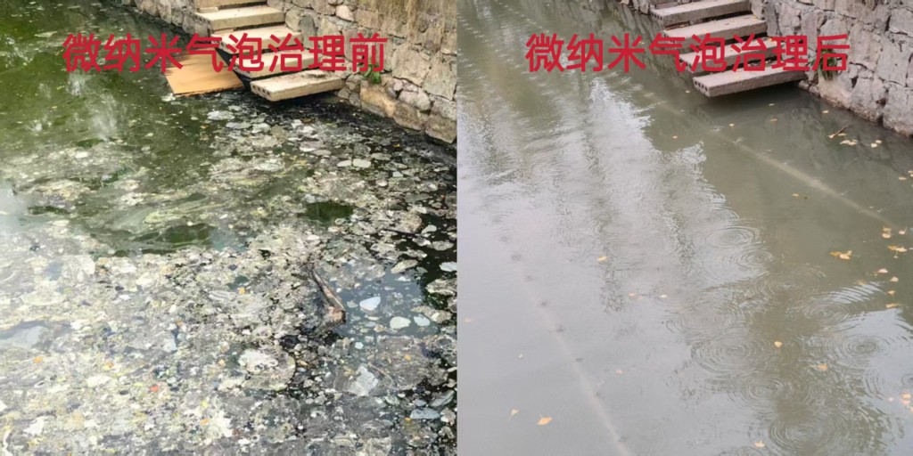 黑臭水体治理与水生态稳定提升