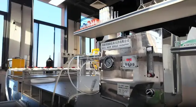 传感-控制-执行闭环示意