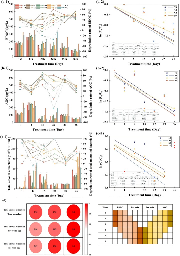 BDOC、AOC与总菌变化及动力学分析图