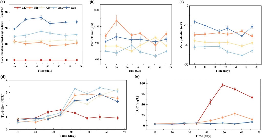 生物膜生长三阶段与微纳米气泡作用机制示意