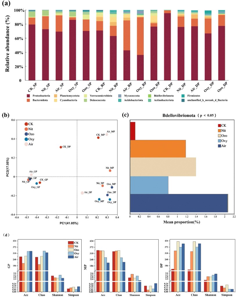 生物膜微生物群落组成与多样性分析