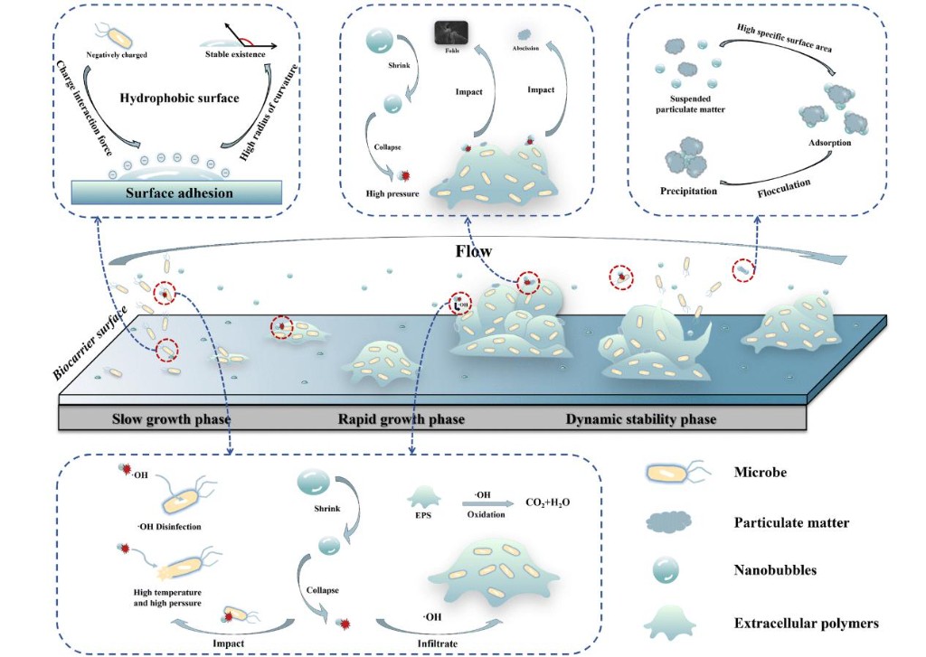 羟基自由基、粒径、Zeta 电位、浊度与 TOC 随时间变化